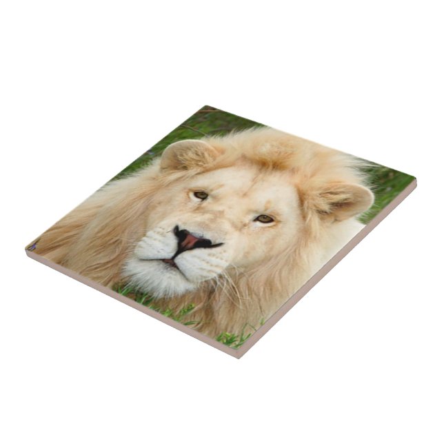 Blondinpärla Kakelplatta (Sidan)