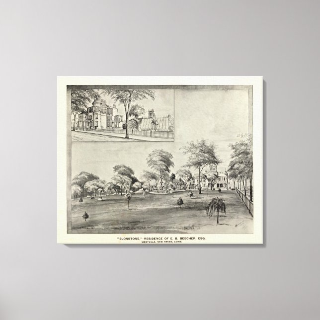 Blonstone, Westville Canvastryck (Framsida)