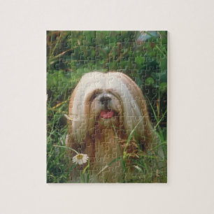 Blont Lhasa Apso hundpussel Pussel