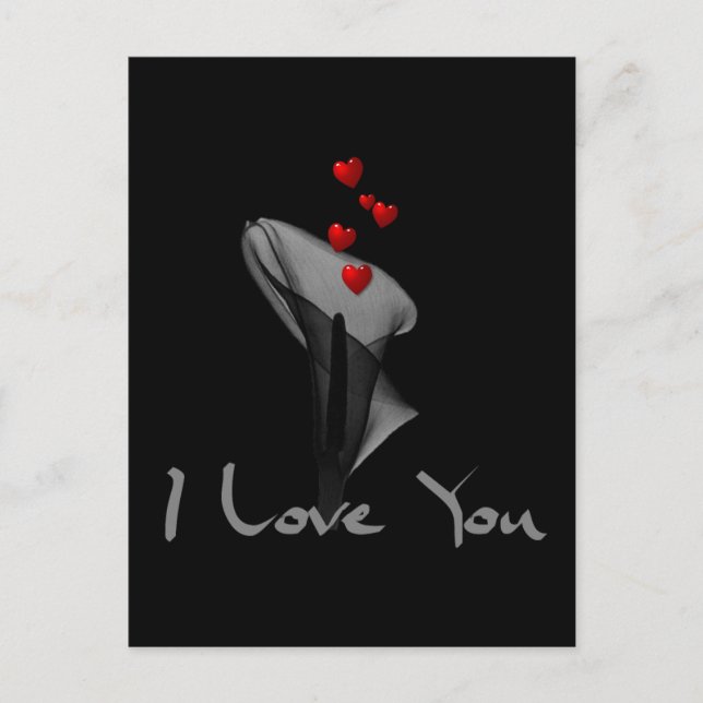 Blood Lily Vykort (Framsida)