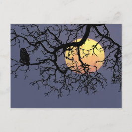 Blood Måne och Night Uggla i Träd Silhouette Vykort
