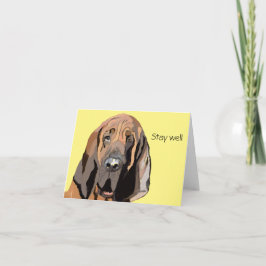 Bloodhound är bra kort