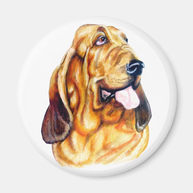 Bloodhound Bust Magnet (Framsidan)