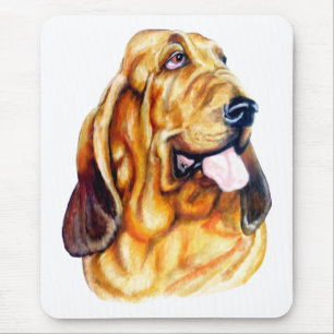 Bloodhound Bust Musmatta