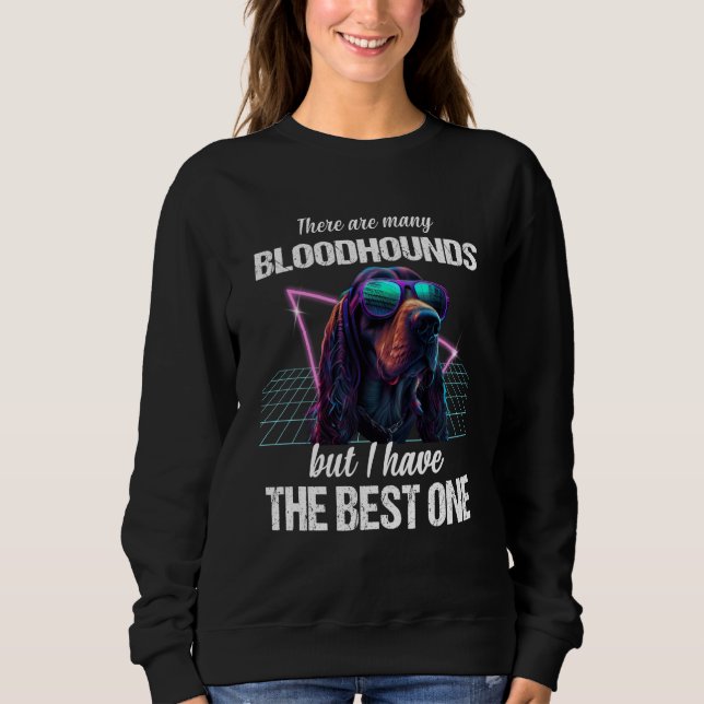 Bloodhound Dog Bloodhounds  1 T Shirt (Framsida)