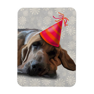 Bloodhound efter Party Magnet