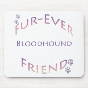 Bloodhound Furever Musmatta