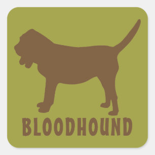 Bloodhound Fyrkantigt Klistermärke