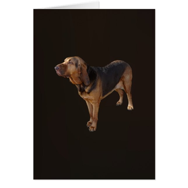 Bloodhound Hälsningskort (Framsidan)