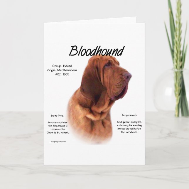 Bloodhound-historikdesign Helgkort (Framsida)