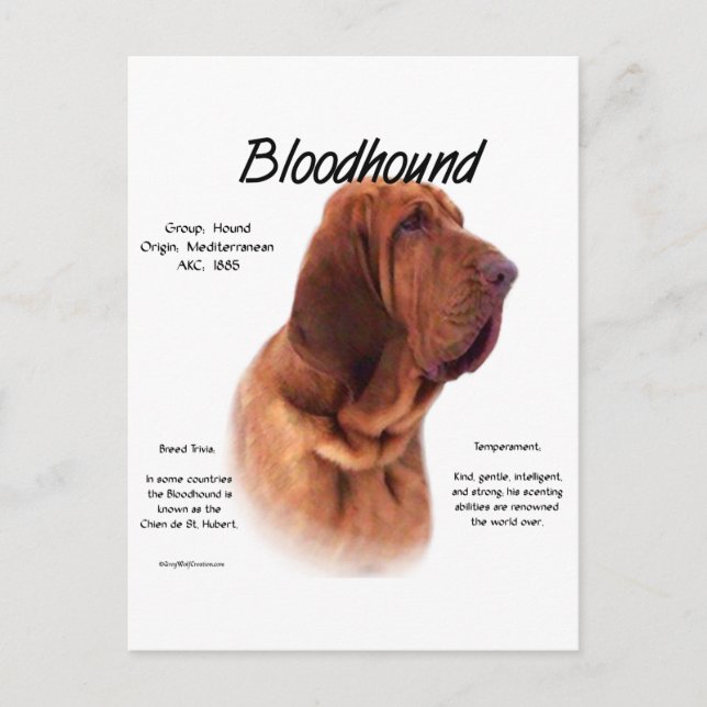 Bloodhound-historikdesign Vykort (Framsida)