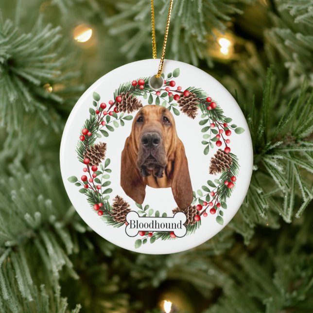 Bloodhound-hund Julgransprydnad Keramik (Träd)