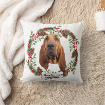 Bloodhound-hund