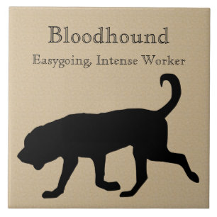 Bloodhound Hund Silhouette Kakelplatta