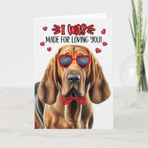 Bloodhound Hund tillverkad för att övertala dig Va