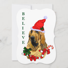 Bloodhound jul julkort