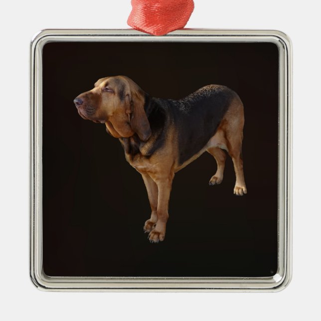 Bloodhound Julgransprydnad Metall (Framsidan)