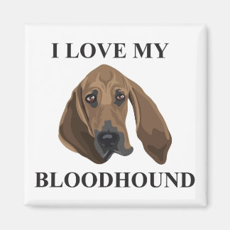 Bloodhound Kärlek Magnet
