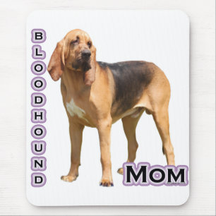 Bloodhound Mamma 4 Musmatta