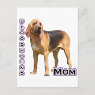 Bloodhound Mamma 4 Vykort