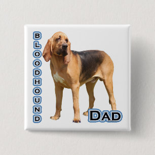Bloodhound Pappa 4 - Knapp