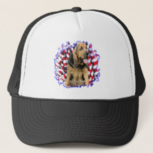 Bloodhound Patriot Keps