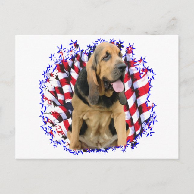 Bloodhound Patriot Vykort (Framsida)