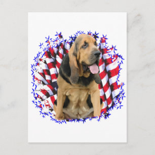 Bloodhound Patriot Vykort