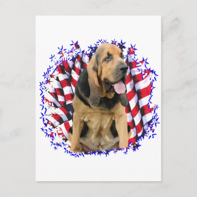 Bloodhound Patriot Vykort (Framsida)