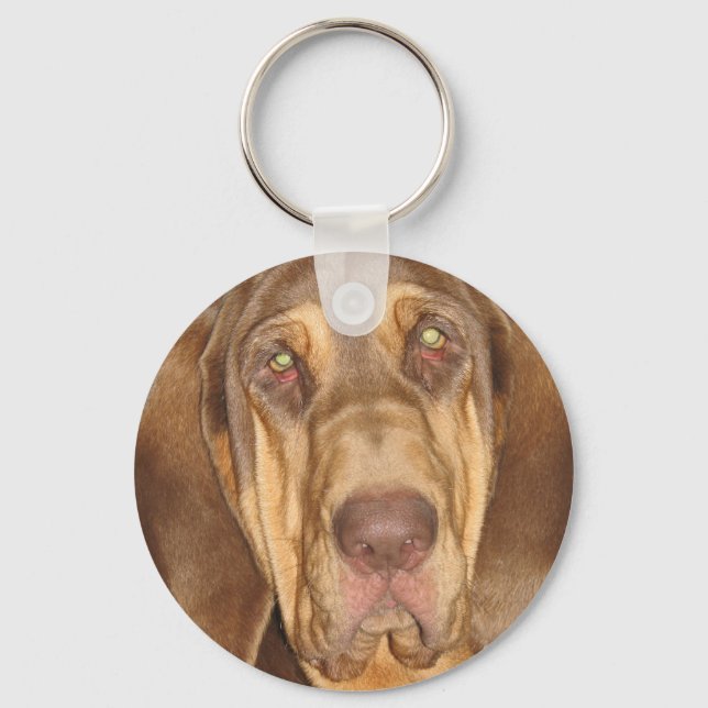 Bloodhound Photographic Keychain Nyckelring (Framsida)