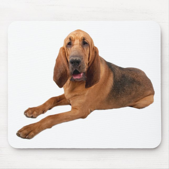 Bloodhound Puppy Hundar Rule Mousepad Musmatta (Framsidan)