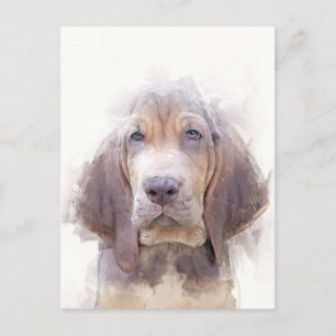 Bloodhound Puppy Porträtt Vykort