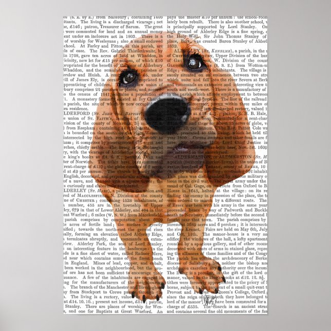 Bloodhound Puppy Poster (Framsidan)