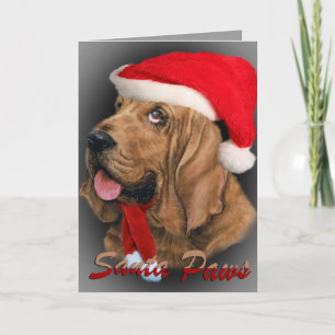 Bloodhound Santa Tassar-kort Helgkort