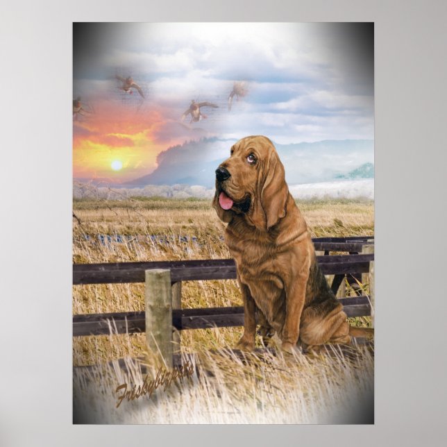Bloodhound Sunset Poster (Framsidan)