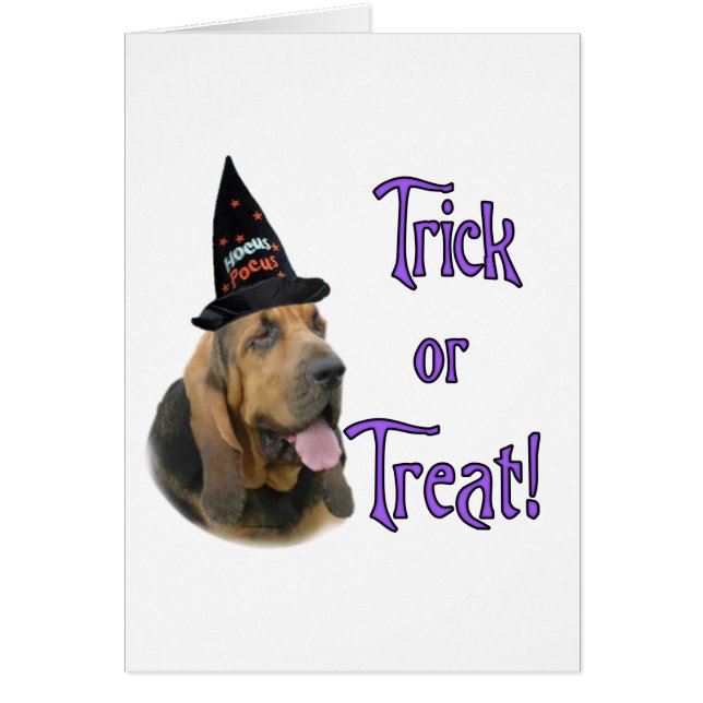 Bloodhound Trick Hälsningskort (Framsidan)