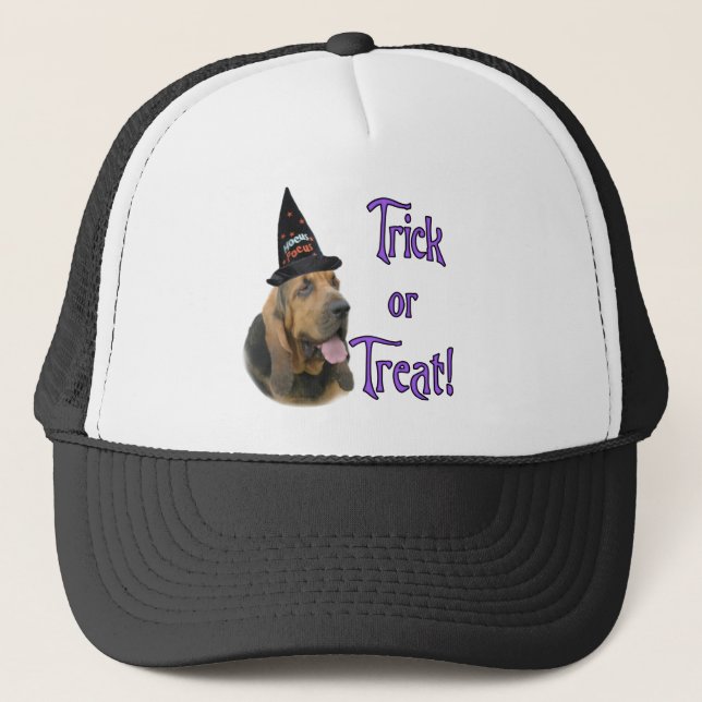 Bloodhound Trick Keps (Framsida)