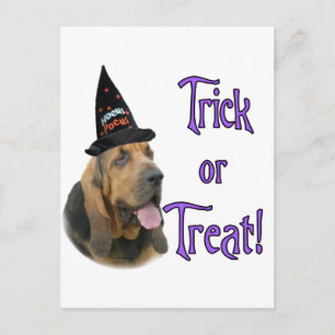 Bloodhound Trick Vykort