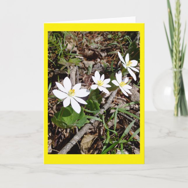 Bloodroot Blank Notecard Kort (Framsida)