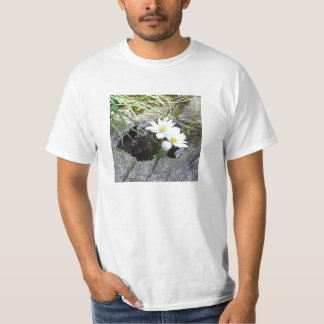 Bloodroot Sanguinariacanadensis Tee Shirt