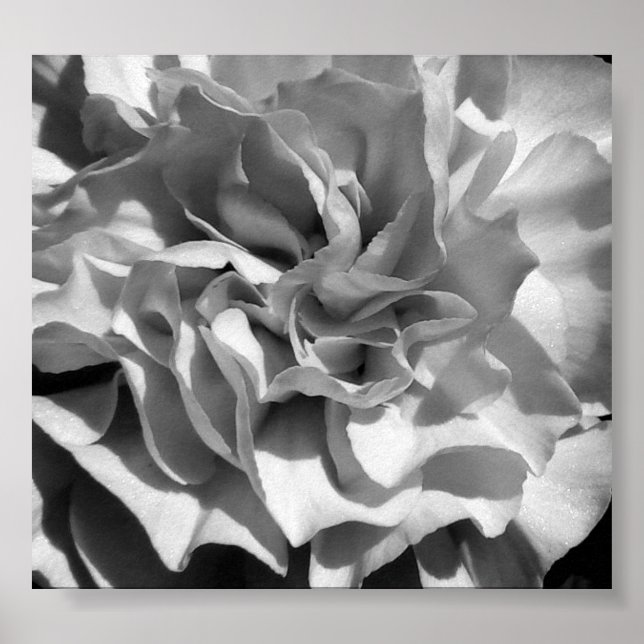 Bloom #4 poster (Framsidan)