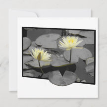 Bloom bortom det platta Ram-kortet