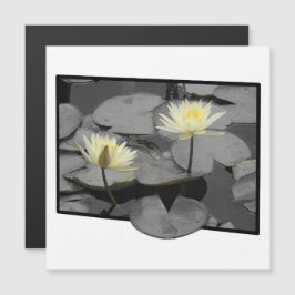 Bloom bortom magnetkortet i Ram