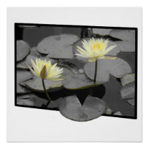 Bloom bortom Ram Glossy-Poster