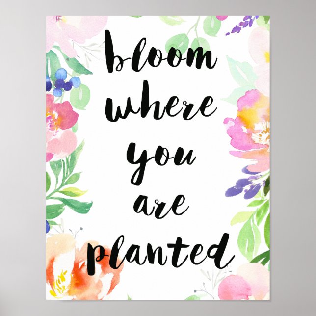 Bloom där du är planerad Blommigt för vattenfärg Poster (Framsidan)