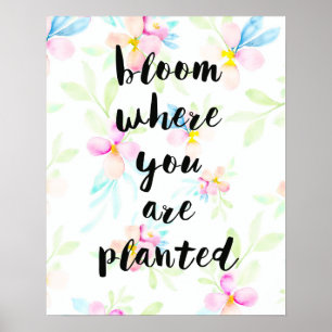 Bloom där du är planerad Blommigt för vattenfärg Poster