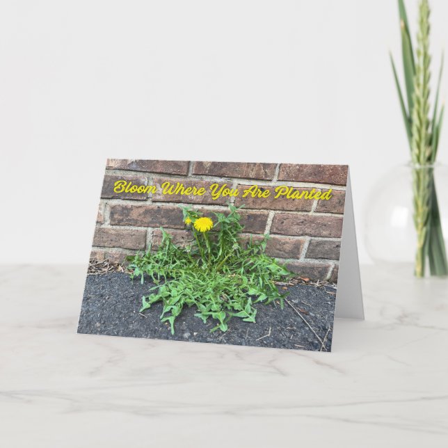 Bloom där du är planerad Dandelion Photo Kort (Framsida)