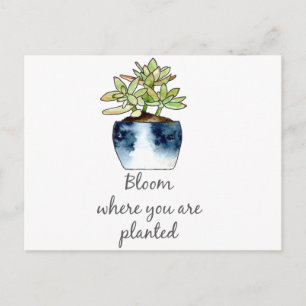 Bloom där du är planerad för självsådd vykort