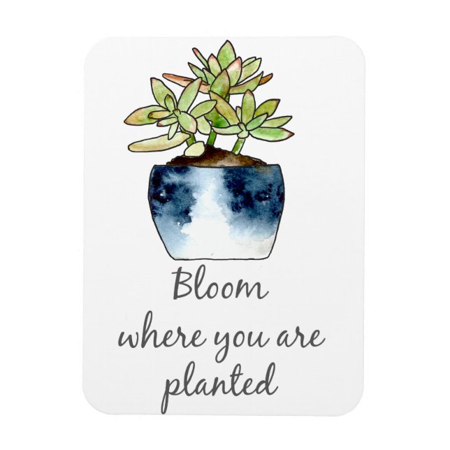 Bloom där du är planerad för Succulent Magnet (Vertikal)
