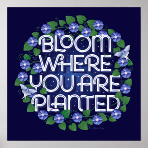 Bloom där du är planerad fyrkant Poster (24x24)
